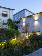 Load image into Gallery viewer, ACE UP-DOWN 100-230V