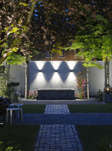 Load image into Gallery viewer, ACE DOWN 12V