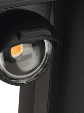 Load image into Gallery viewer, WINK