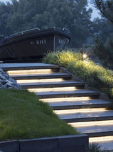 Load image into Gallery viewer, EVO DOWN