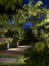 Load image into Gallery viewer, EVO DOWN