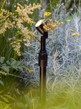 Load image into Gallery viewer, MINI SCOPE 12V