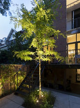 Load image into Gallery viewer, MINI SCOPE 12V