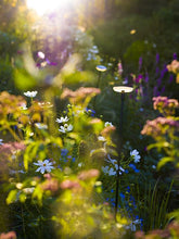 Load image into Gallery viewer, SWAY BLACK 12V