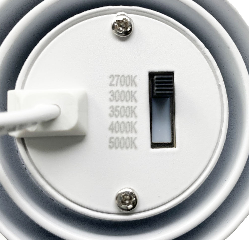 DawnRay 30TL-L 5CCT selector detail
