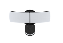 Load image into Gallery viewer, Security Light – Black Finish
