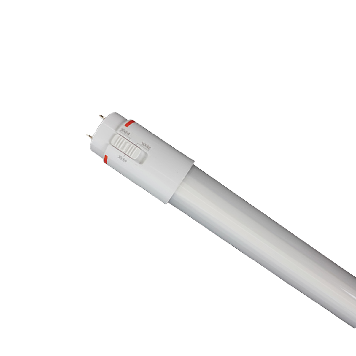 Reno 2ft selectable CCT T8 Type A LED tube