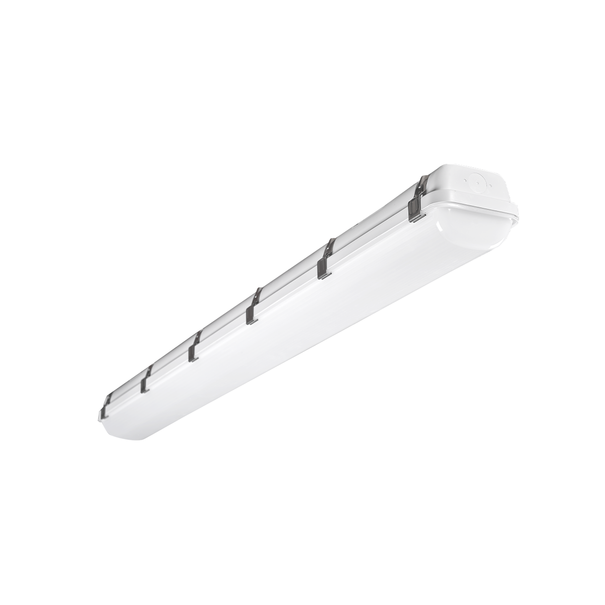 Reno MAKO 4ft vapor tight R2 Generation 2