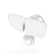 Reno OPS security light white