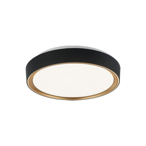 Matteo Lighting Alamus M10601BKGL LED flush mount in Black and Gold
