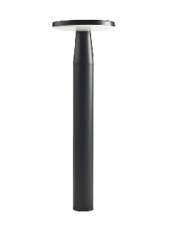 DISC PENDANT 12V