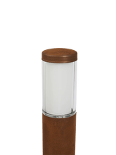 Load image into Gallery viewer, LIV CORTEN 12V

